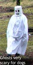 These Ghosts are very frightening for the dog