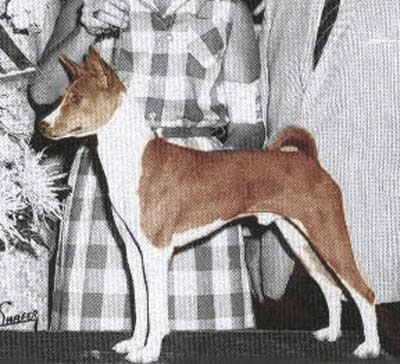 Reveille Re Up