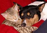 Zeke with babycat Lucy