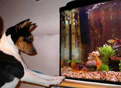 Mmm.... looks like fresh food!