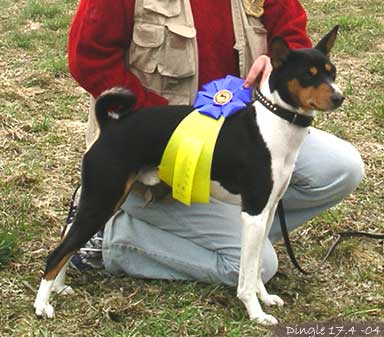Zeke in Dingle 2004