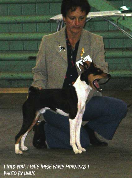 I hate these early mornings... Photo by Linus in K�ping 2003