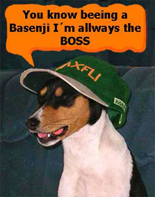 Linus puts on hats and Zeke don�t mind