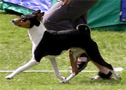 Zeke H�ssleholm May 2004