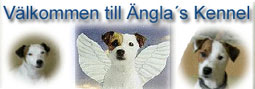 Englas Kennel