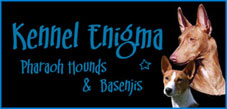 Kennel Enigma, Madelene och Sofie L�nn
