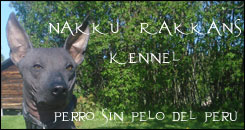 Nakku Rakkans Jeanette Flink