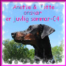 Thank you Anette!