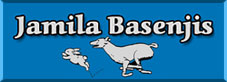 Jamila�s Basenjis, Zekes father�s breeder