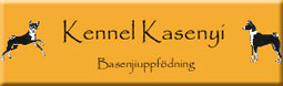 Kennel Kasenyi