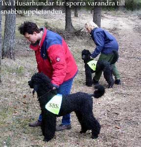 Sending for Search of dropped objects in the wood.